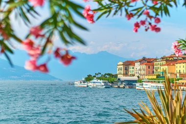 Lake Como İtalya Bellagio kasabaya nerium oleander çiçekler, gemiler ve deniz araçları ile görünümünü güzel güneşli yaz