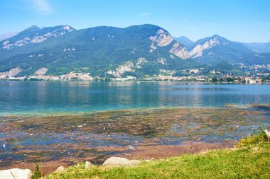 Kirli su yosun lake Como İtalya'ile
