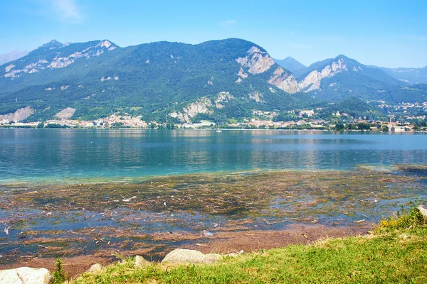 Smutsigt vatten med alger vid Comosjön i Italien — Stockfoto