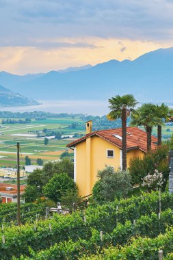 Evler, çiftlikler, üzüm bağları, Alp Dağları ve Lake Maggiore ile kırsal Güney İsviçre görünümünü