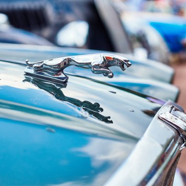 1975 yılında İngiltere 'de piyasaya sürülen Xj12 otomobilinin eski klasik Jaguar logosunun yakın görüntüsü.