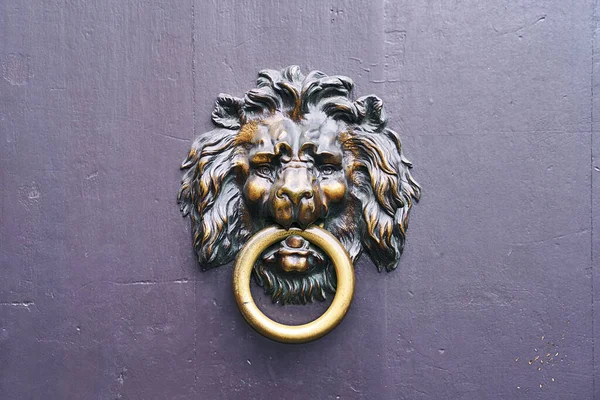Vintage bronze lion head on old wooden door