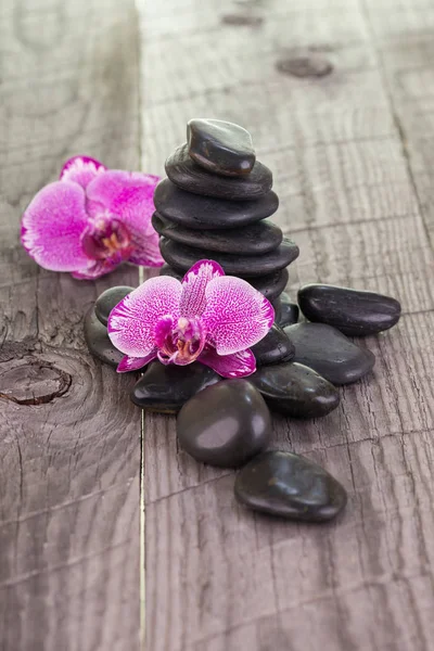 Phalaenopsis orquídeas e pedras pretas sobre fundo de madeira intemperizados — Fotografia de Stock