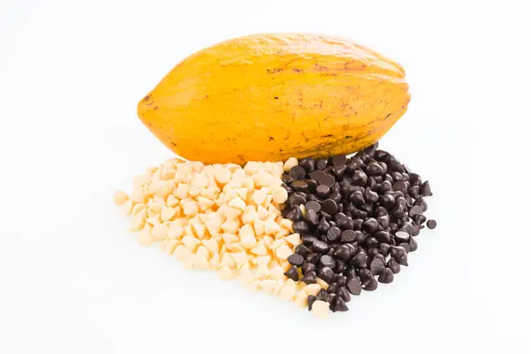 Fresh cocoa pod and chocolate chips close up — Stock Photo, Image