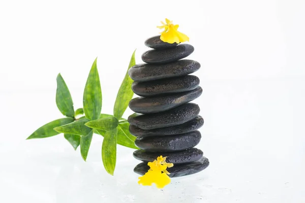 Black zen stones with Oncidium orchids and bamboo leaves — Stock Photo, Image
