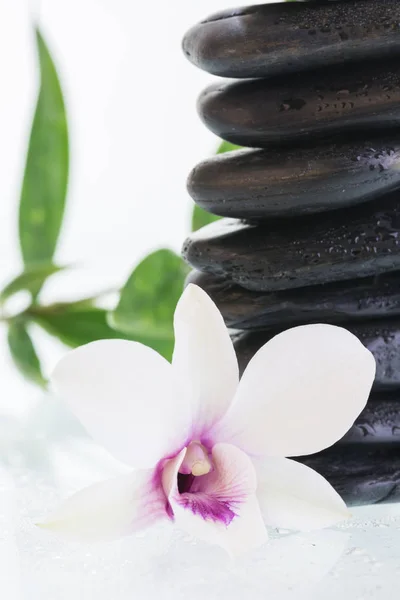 Spa with hot stones, orchid and bamboo leaves Royalty Free Stock Photos