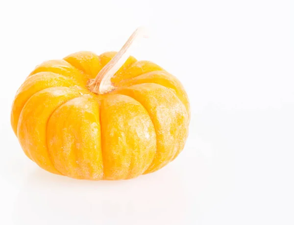 ミニかぼちゃは白い背景のクローズ アップ — ストック写真