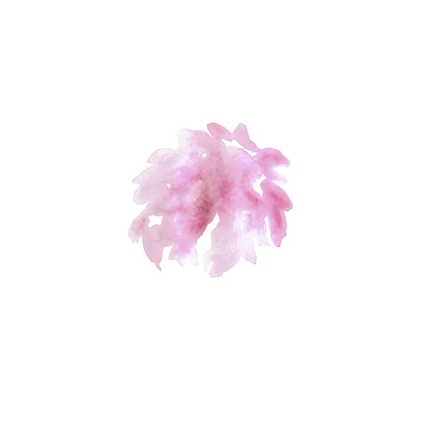 Aquarelle pivoine fleur — Photo