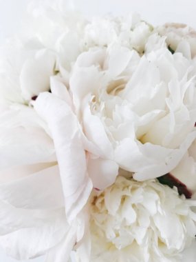 Beyaz Peonies buket