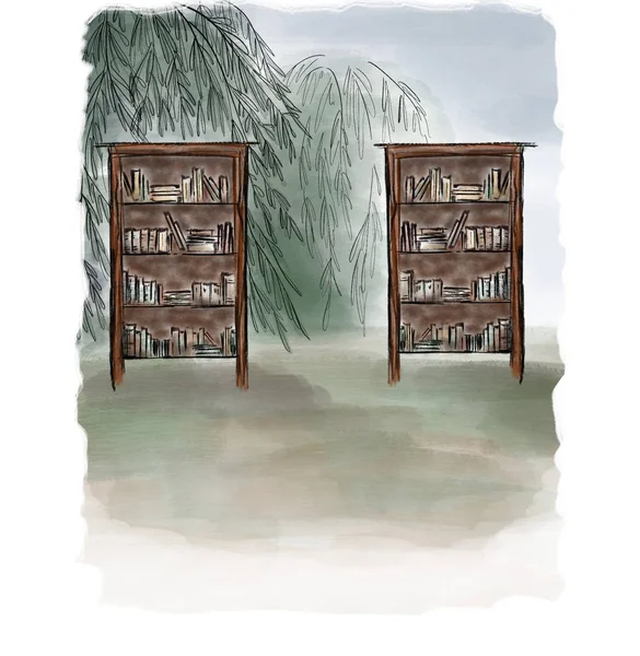 Bookcases On A Landscape Background