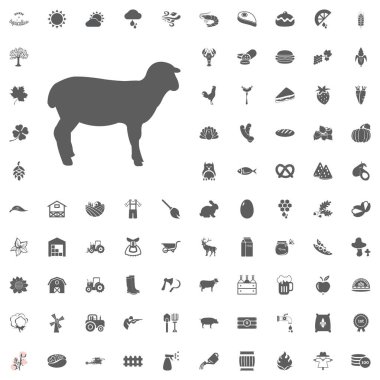 Tarım ve çiftlik Vector Icons Set