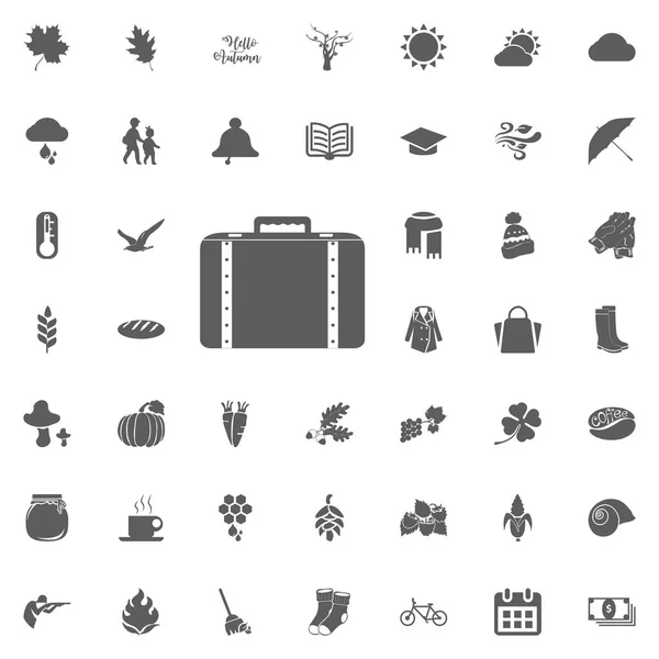 Conjunto de icono de la maleta — Vector de stock
