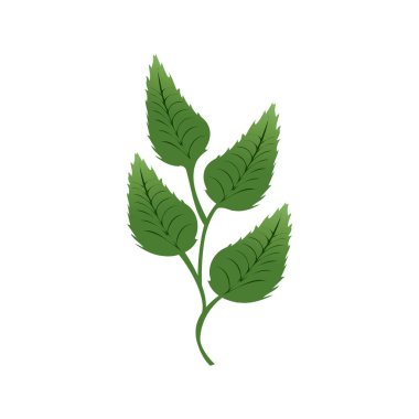 Beyaz arka plan üzerinde izole bir dalda, illüstrasyon tasarımı, yeşil yaprakları bağlı. 