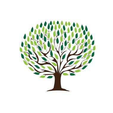 ağaç çok yaprakları, doğa, illüstrasyon tasarımı, beyaz arka plan üzerinde izole. 