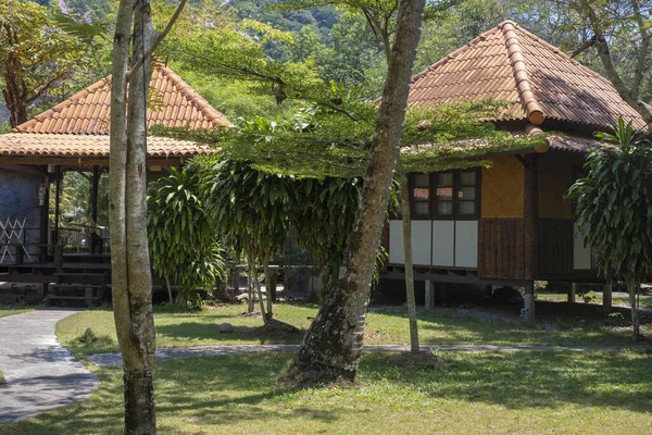Asian holiday villas in a wooded area. Wooden houses on the lawn