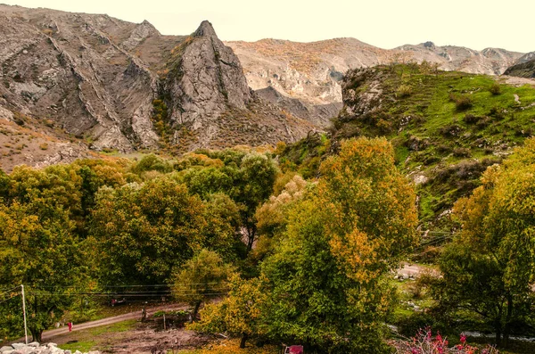 Widok jesienny górskiej miejscowości z pożółkłych orzech ogrody — Zdjęcie stockowe