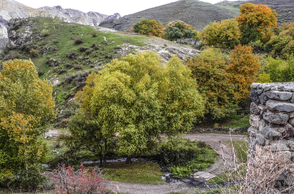 Małe rzeki, wśród drzew w górskiej miejscowości jesienny dzień — Zdjęcie stockowe