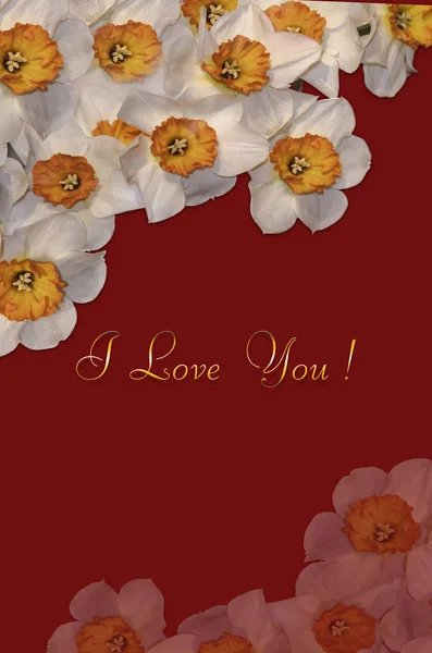 Kort med vit påskliljor och gyllene hälsning jag älskar dig på rödvin bakgrund — Stockfoto
