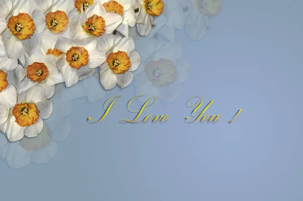 白色的水仙花和金色的问候卡我爱你在一个蓝色的背景 — 图库照片
