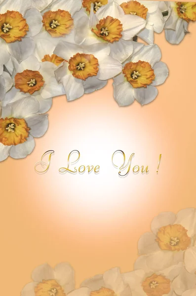 Karta s bílých narcisů v rozích a zlato pozdrav I Love You na oranžové pozadí — Stock fotografie