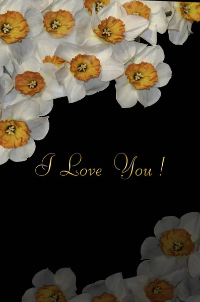 A sarkok és az arany üdvözlőkártya-I Love You fekete háttér fehér nárcisz ábrázoló képeslap — Stock Fotó