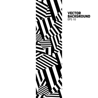 Zebra siyah ve beyaz