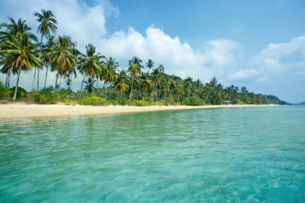 Playa tropical y palmeras de coco en Koh Samui, Tailandia — Foto de Stock