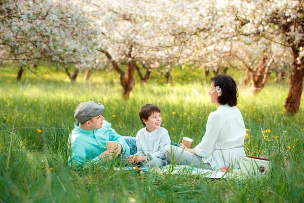 Ung familj picknick i blommande apple trädgård — Stockfoto