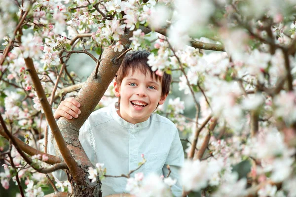 Çiçek açan elma bahçesinde şirin küçük çocuk — Stok fotoğraf