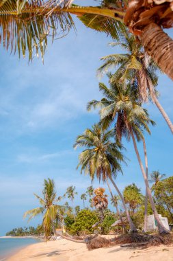Mae Nam beach Koh Samui Adası, Tayland at