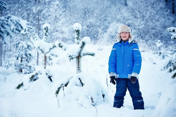 Bonito menino vestindo roupas quentes brincando na floresta de inverno — Fotografia de Stock