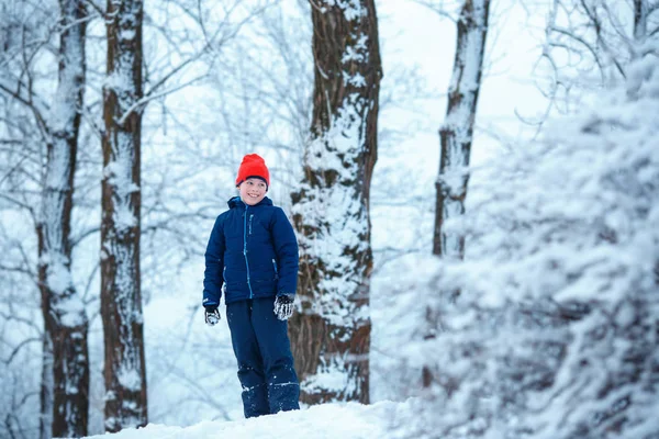 Ładny mały chłopiec sobie ciepłe ubrania, grając na Zima Las — Zdjęcie stockowe