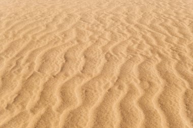 Doku, desen, kum arka plan