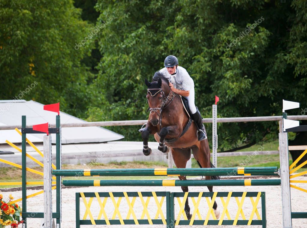 Rider with horse over the hurdle during showjumping competition
