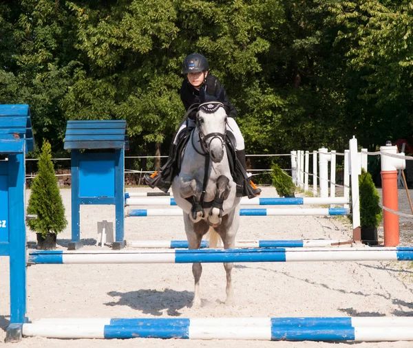 Fille équitation roan poney sur saut d'obstacles compétition — Photo