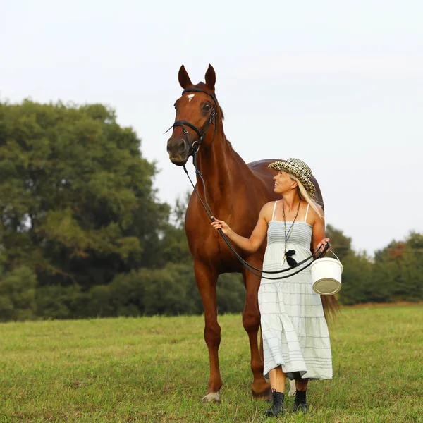 Maturo agricoltore donna piombo cavallo su prato — Foto Stock