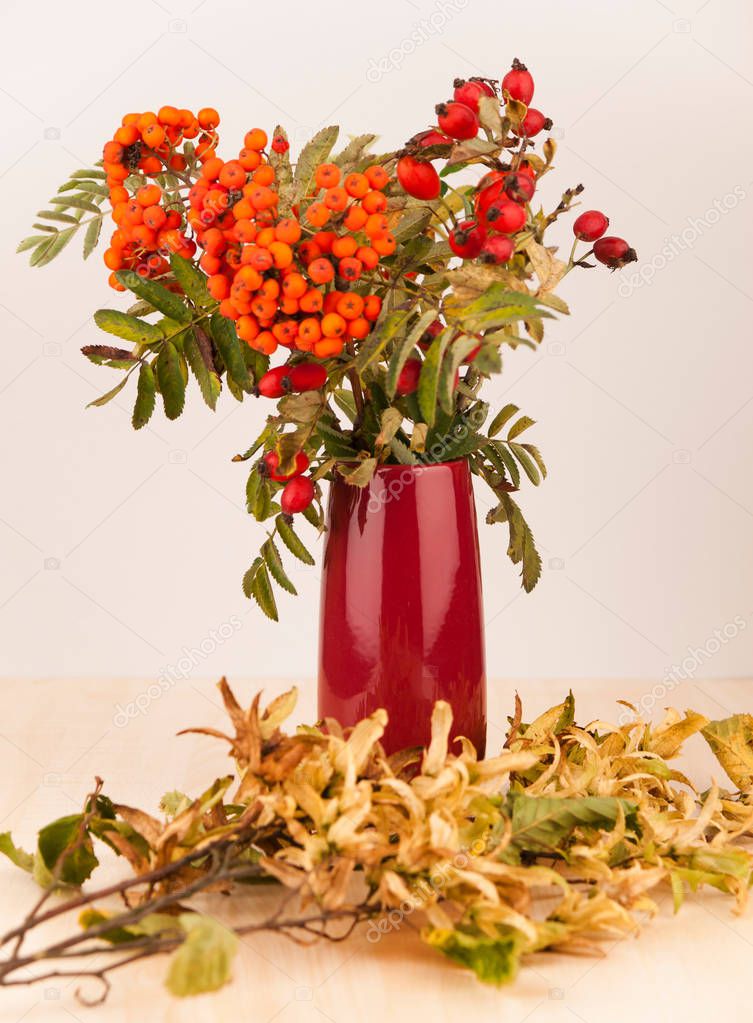 Autumn decoration in purple vase with rowanberries
