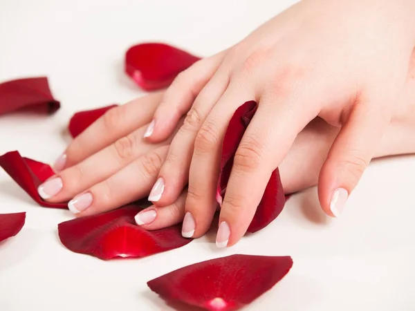 Bella mano donna con unghie lucidate in stile francese con petali di rosa — Foto Stock