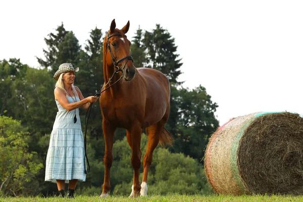 Vrouw Blauwe Jurk Blijven Naast Haar Paard Buurt Van Hayroll — Stockfoto