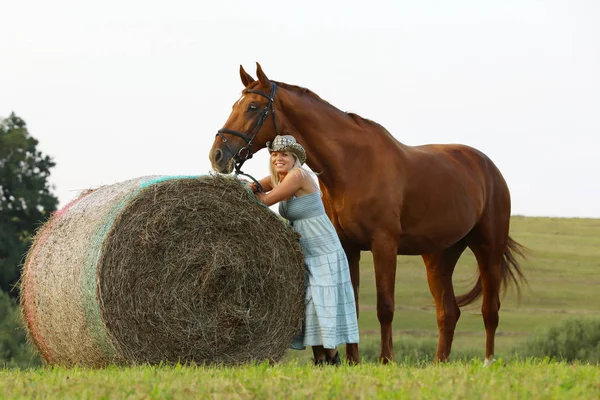 Romantic Summer Scene Woman Her Horse Meadow — Stock Photo, Image