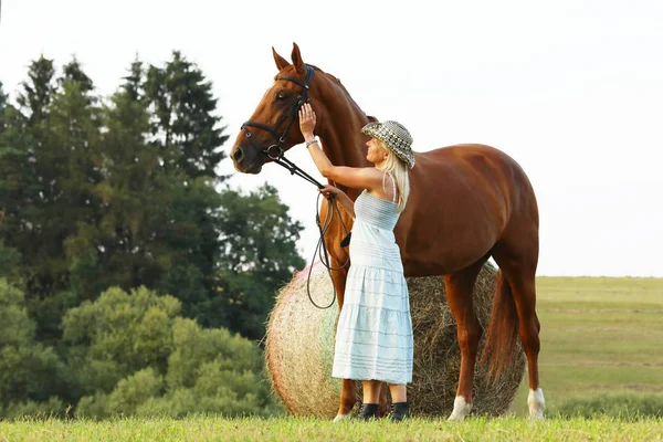 Romantic Scene Woman Caressing Her Horse — Stock Photo, Image