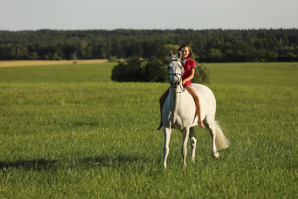 Νεαρό Κορίτσι Στο Roan Άλογο Πόδια Στο Λιβάδι Αργά Απόγευμα — Φωτογραφία Αρχείου