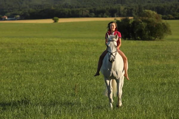 Jeune Fille Sur Cheval Roan Marche Sur Prairie Fin Après — Photo