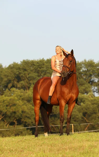 Dame Paard Weide Zomerdag — Stockfoto