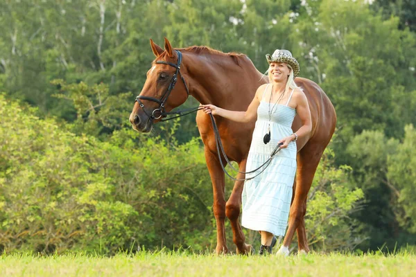 Farmer Lead Chestnut Horse Meadow Summer — Stock Photo, Image