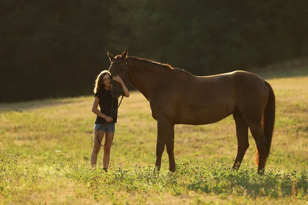 Adolescente Rester Avec Châtaignier Cheval Sur Pâturage Coucher Soleil Été — Photo