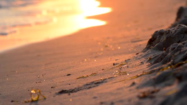 Olas en la playa de arena al atardecer . — Vídeos de Stock