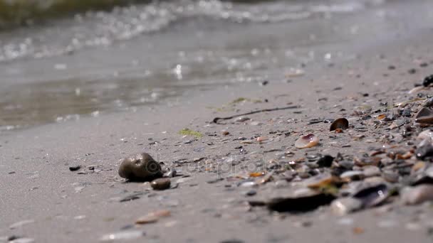 Playa de arena mar — Vídeos de Stock