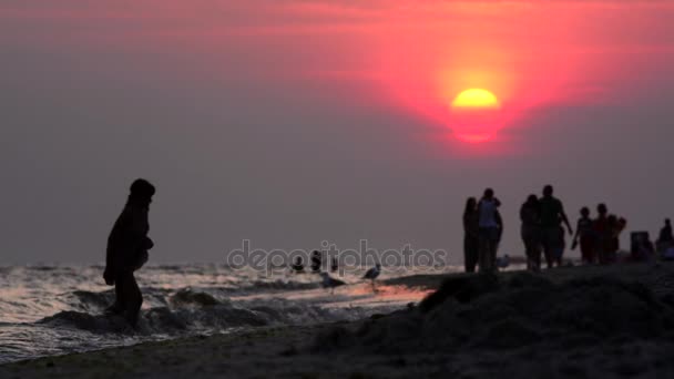 Descanso en la costa del mar — Vídeos de Stock