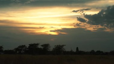 Zaman atlamalı bir çayır